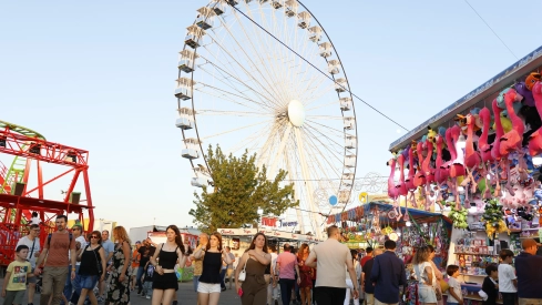  Feria de San Fernando 