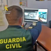 La Guardia Civil ha detenido e investigado a dos vecinos de Navalvillar de Pela y ha identificado a un tercer supuesto coautor. / GC La Guardia Civil ha detenido e investigado a dos vecinos de Navalvillar de Pela y ha identificado a un tercer supuesto coautor. / GC