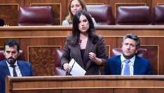 La portavoz de Vox en el Congreso, Pepa Rodríguez de Millán. / LP
