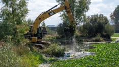 El proyecto contempla también un programa específico de restauración ambiental con el objetivo de favorecer la recuperación del ecosistema fluvial. / CHG