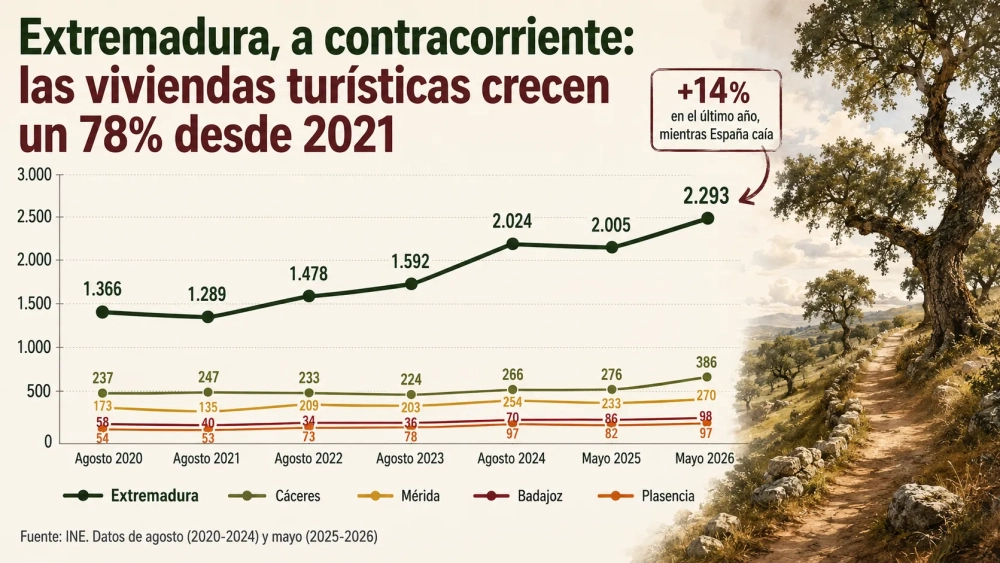 CUADRO 6 EVOLUCION VUT EXTREMADURA CUADRO 6 EVOLUCION VUT EXTREMADURA