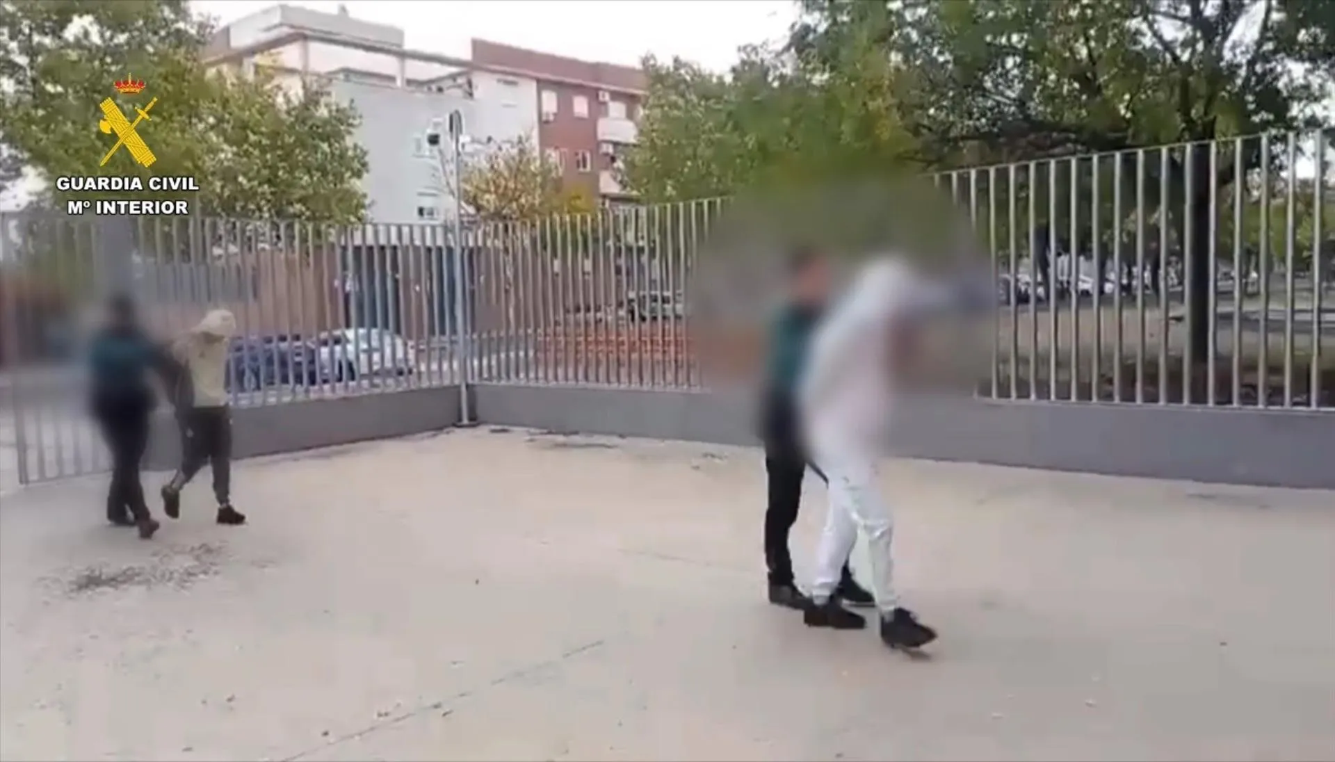 Los dos detenidos por la Guardia Civil. / LP