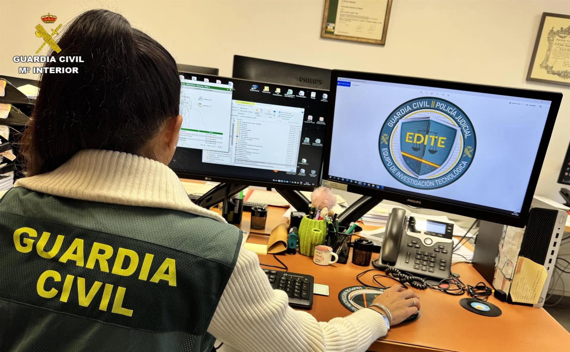 Agente de la Guardia Civil. / LP