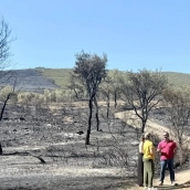 Miguel Ángel Morales recorrió este lunes las zonas afectadas acompañado por el alcalde de Mirabel, Fernando Grande Cano, y el regidor de Casas de Millán, Mario Cerro.  / LP
