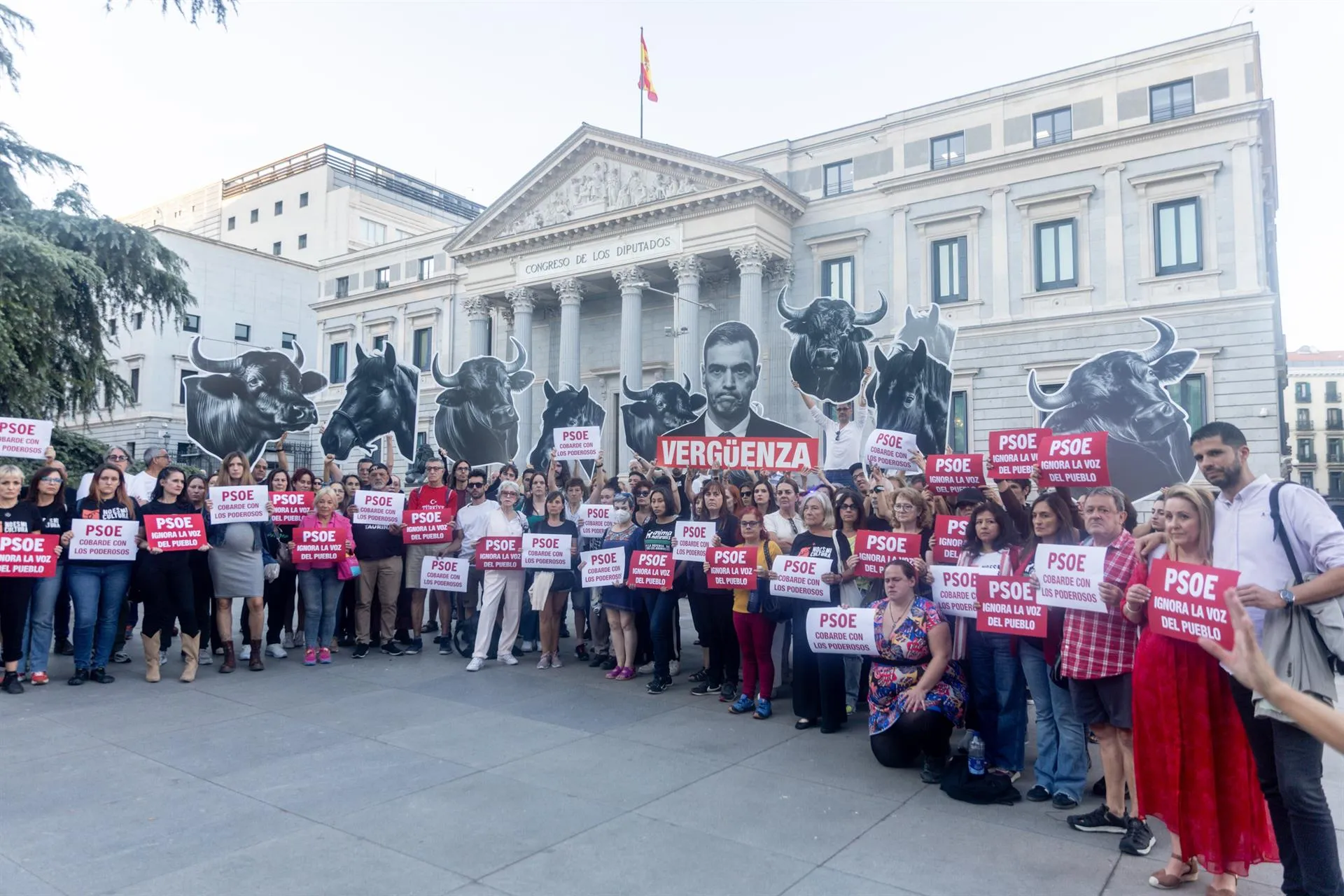 Los firmantes de la ILP 'No es mi cultura', que propone la derogación de la tauromaquia como patrimonio cultural, se concentran frente al Congreso de los Diputados. / EP
