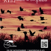 El popular Festival de las Grullas inaugura una nueva etapa trasladándose a Madrigalejo. / LP El popular Festival de las Grullas inaugura una nueva etapa trasladándose a Madrigalejo. / LP