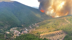  Incendio forestal declarado este martes en el término municipal de Pinofranqueado, próximo a la alquería de Avellanar. / CEDIDA