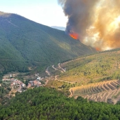  Incendio forestal declarado este martes en el término municipal de Pinofranqueado, próximo a la alquería de Avellanar. / CEDIDA