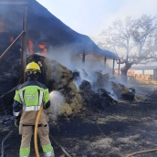 Los efectivos del Sepei de la Diputación Provincial de Cáceres intervinieron en las últimas horas en Montehermoso en dos actuaciones. / LP