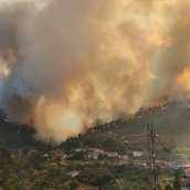 El incendio de Pinofranqueado llega a las puertas de Cerezal, alquería del municipio de Nuñomoral. / ABRIF