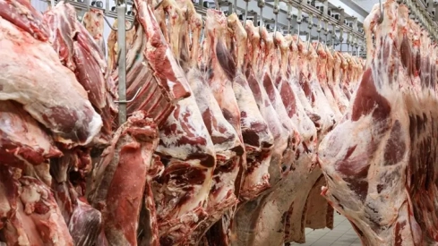Las vacas y terneros de Extremadura podrán ser sacrificados, faenados y despiezados en industrias situadas fuera de la comunidad autónoma. / LP Las vacas y terneros de Extremadura podrán ser sacrificados, faenados y despiezados en industrias situadas fuera de la comunidad autónoma. / LP