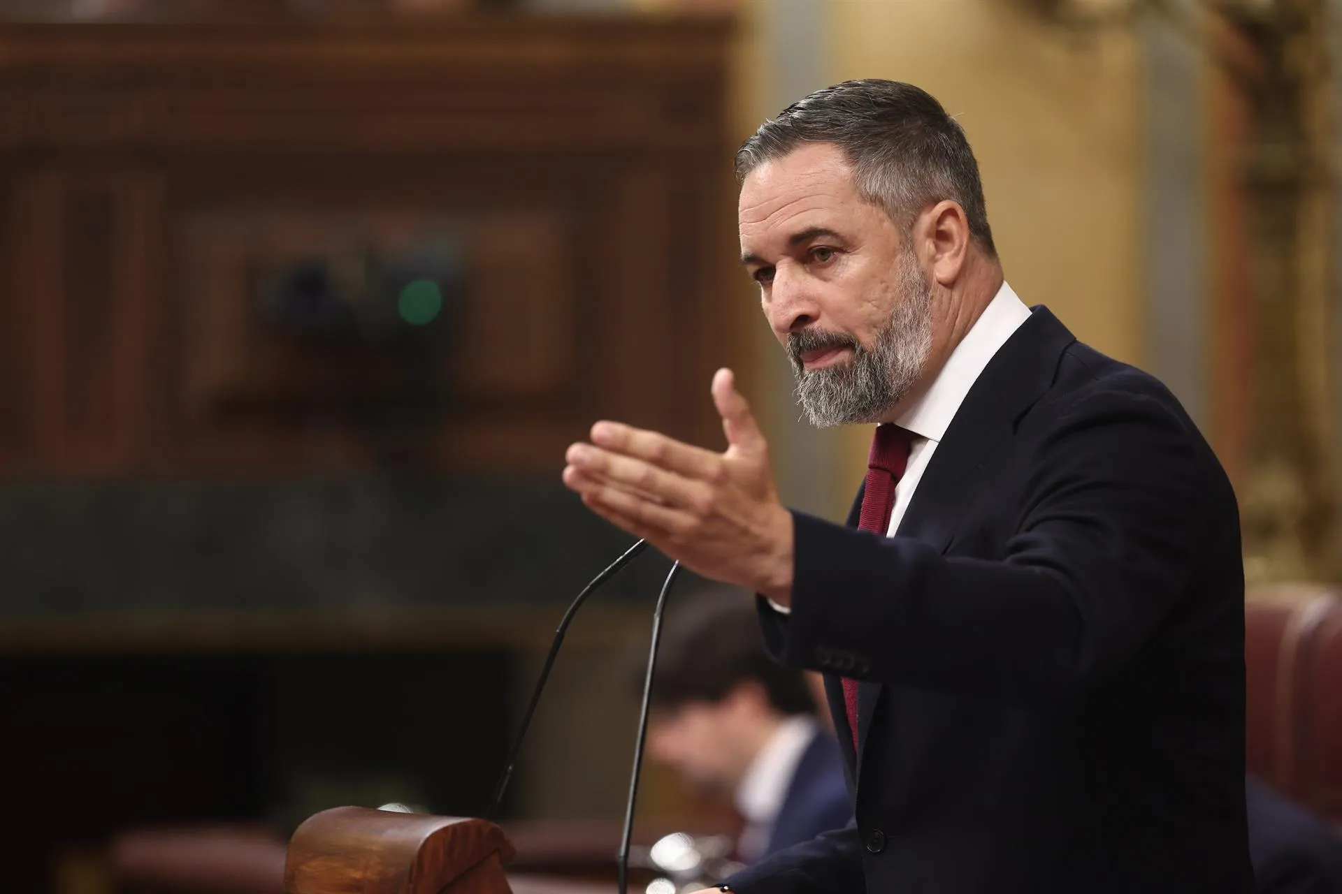 Santiago Abascal, presidente nacional de Vox. / EP Santiago Abascal, presidente nacional de Vox. / EP