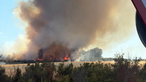 En estos momentos, los efectivos continúan trabajando en la zona, aunque el fuego se da ya por controlado. / LP En estos momentos, los efectivos continúan trabajando en la zona, aunque el fuego se da ya por controlado. / LP