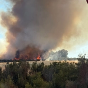 En estos momentos, los efectivos continúan trabajando en la zona, aunque el fuego se da ya por controlado. / LP En estos momentos, los efectivos continúan trabajando en la zona, aunque el fuego se da ya por controlado. / LP