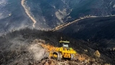 Maquinaria del Infoex realiza trabajos tras el incendio de Pinofranqueado. / EP