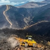 Maquinaria del Infoex realiza trabajos tras el incendio de Pinofranqueado. / EP Maquinaria del Infoex realiza trabajos tras el incendio de Pinofranqueado. / EP