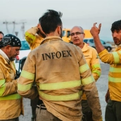 Bomberos forestales conductores adscritos al Plan de Lucha contra Incendios Forestales de Extremadura (Infoex) este verano. / LP