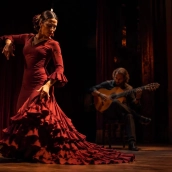 El verano jondo se apaga, pero el calendario flamenco no descansa. / LP El verano jondo se apaga, pero el calendario flamenco no descansa. / LP
