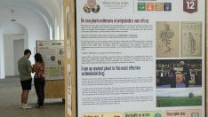 Exposición 'One Health y Malaria: una historia de salud compartida' desde este martes en el Hospital Centro Vivo de Badajoz. / LP  