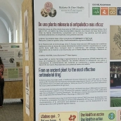 Exposición 'One Health y Malaria: una historia de salud compartida' desde este martes en el Hospital Centro Vivo de Badajoz. / LP  
