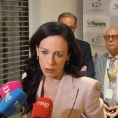 La consejera de Salud y Atención a la Dependencia, Sara García Espada. / LP
