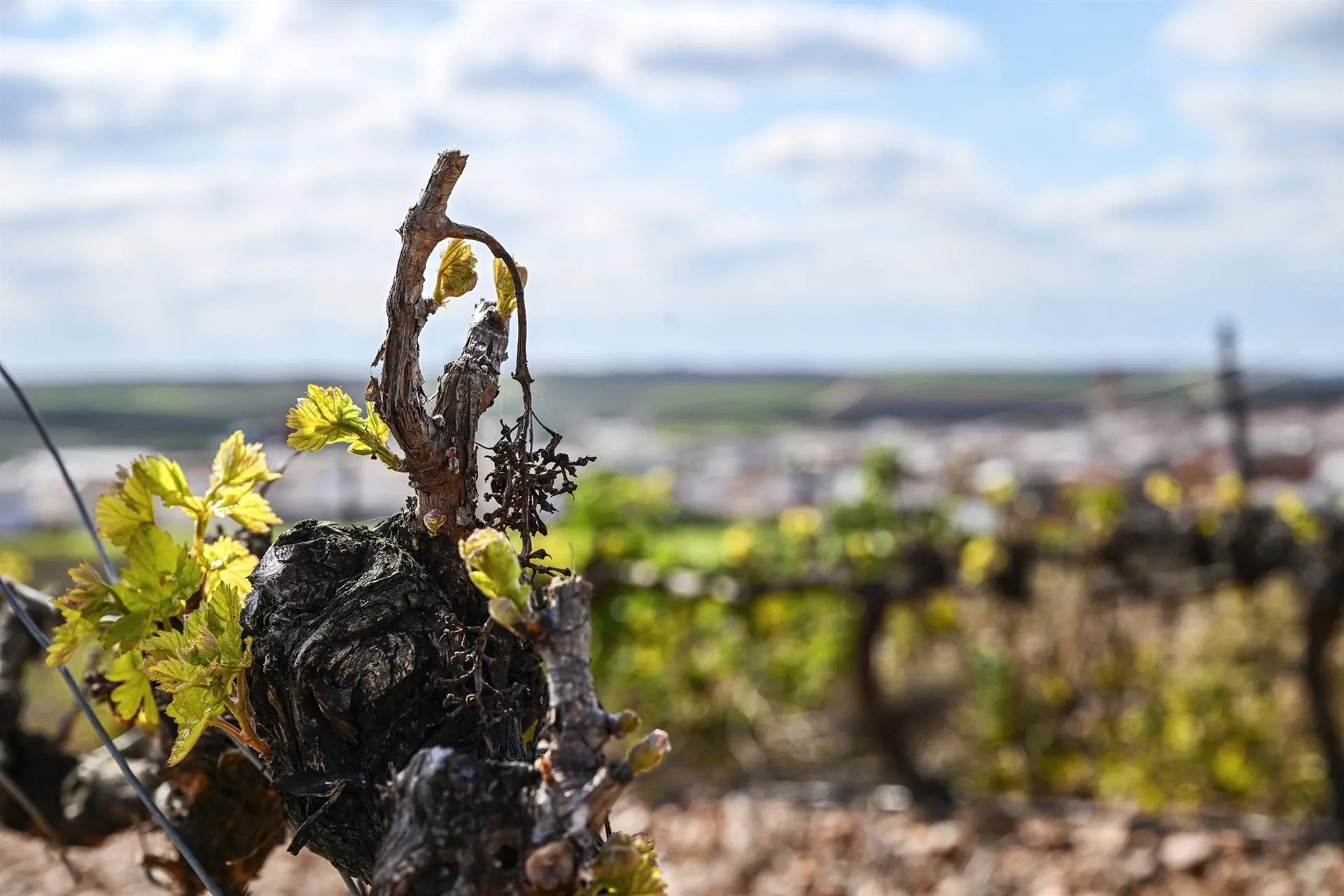 Zona de riesgo en Tierra de Barros. / LP 