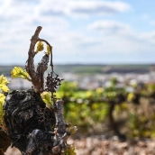 Zona de riesgo en Tierra de Barros. / LP 