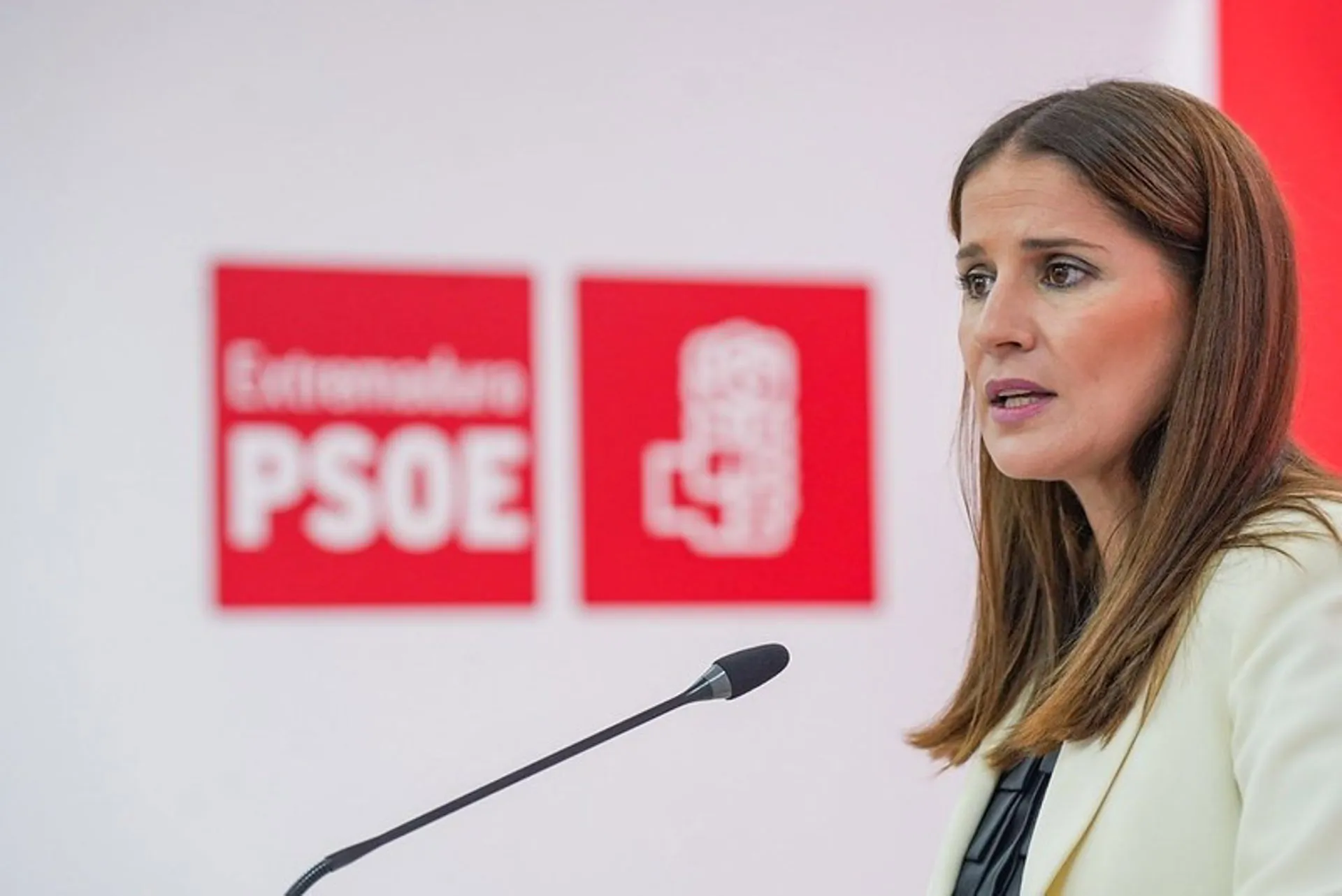 La secretaria de Sanidad del partido, Isabel Gil Rosiña. / LP
