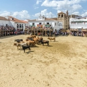 Segura de León celebra desde el viernes su programación festiva con motivo del Cristo de la Reja. / LP Segura de León celebra desde el viernes su programación festiva con motivo del Cristo de la Reja. / LP
