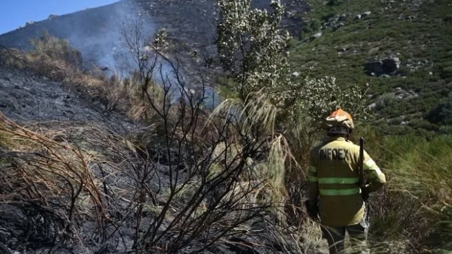 Un efectivo de Infoex en el incendio de Tornavacas, donde permanecen 95 intervinientes y 17 medios aéreos. / EP Un efectivo de Infoex en el incendio de Tornavacas, donde permanecen 95 intervinientes y 17 medios aéreos. / EP