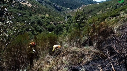 El incendio forestal declarado este lunes en Tornavacas ha quedado estabilizado a las 20.30 horas de este martes. / LP El incendio forestal declarado este lunes en Tornavacas ha quedado estabilizado a las 20.30 horas de este martes. / LP
