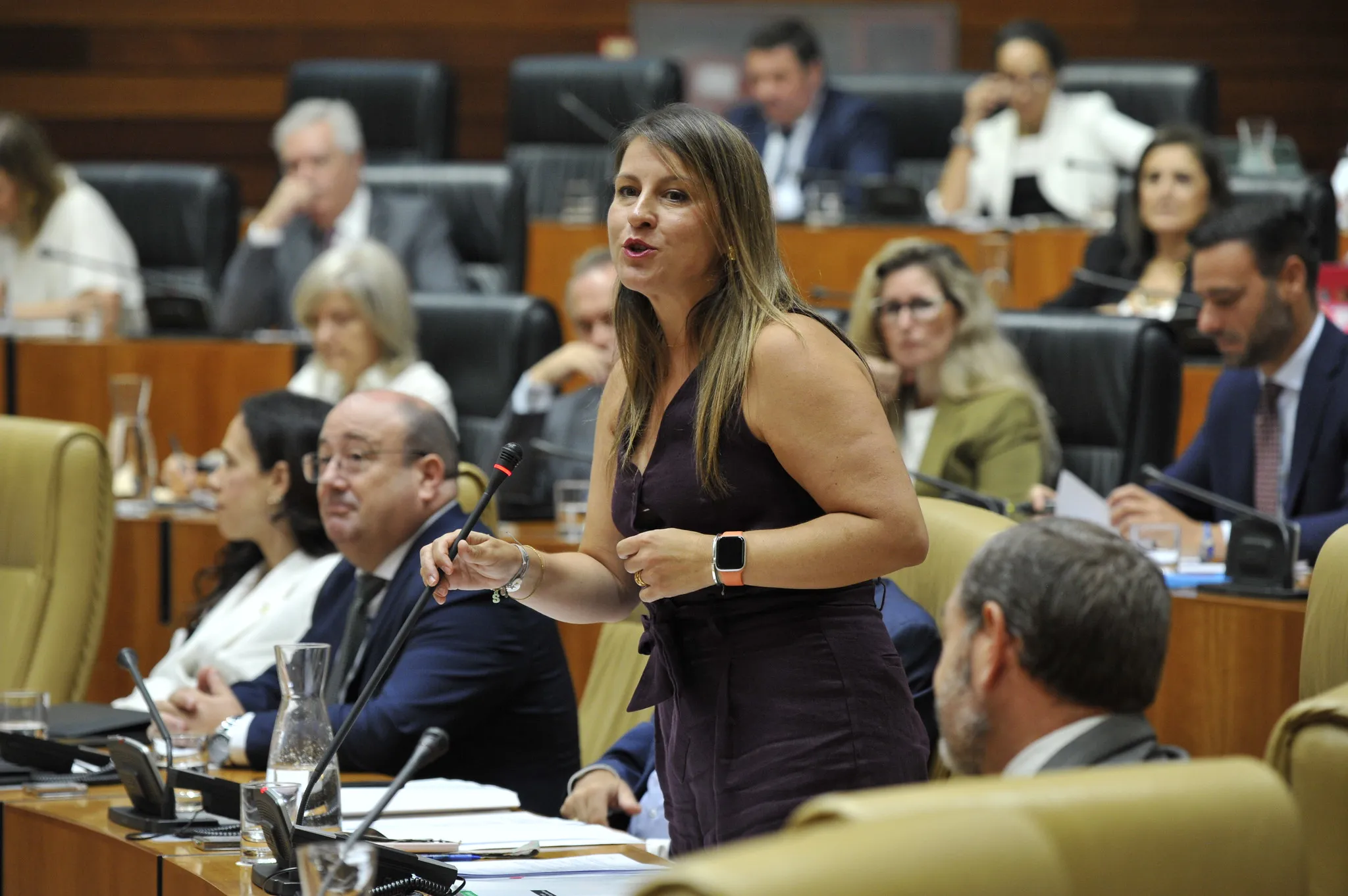 La consejera de Educación y Formación Profesional, Sandra Valencia, este jueves en el pleno de la Asamblea. / LP La consejera de Educación y Formación Profesional, Sandra Valencia, este jueves en el pleno de la Asamblea. / LP