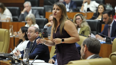 La consejera de Educación y Formación Profesional, Sandra Valencia, este jueves en el pleno de la Asamblea. / LP La consejera de Educación y Formación Profesional, Sandra Valencia, este jueves en el pleno de la Asamblea. / LP