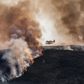 El Plan Infoex ha intervenido esta semana en 49 incidentes registrados en Extremadura. / LP El Plan Infoex ha intervenido esta semana en 49 incidentes registrados en Extremadura. / LP