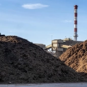 Magnon, filial de energías renovables de Ence, gestionará una nueva instalación de la compañía alimentaria Transa en Villanueva de la Serena. / LP Magnon, filial de energías renovables de Ence, gestionará una nueva instalación de la compañía alimentaria Transa en Villanueva de la Serena. / LP