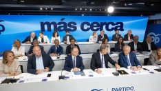  Junta Directiva Nacional del PP, presidida por Alberto Núñez Feijóo. / EP 