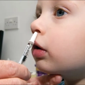 El Servicio Extremeño de Salud (SES) ha adquirido 104.000 dosis de la vacuna intranasal Fluenz. / LP El Servicio Extremeño de Salud (SES) ha adquirido 104.000 dosis de la vacuna intranasal Fluenz. / LP