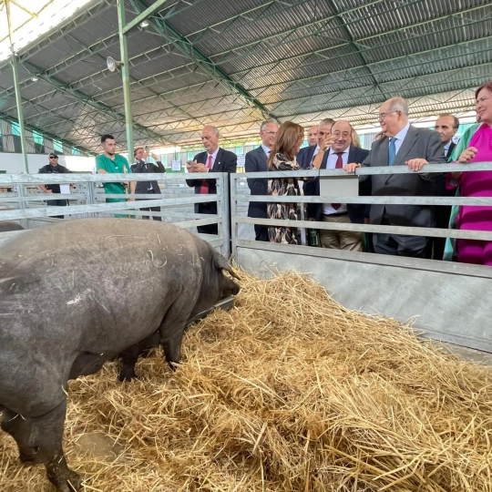 Visita al recinto de la feria de Zafra por parte de las distintas autoridades. / FIG Visita al recinto de la feria de Zafra por parte de las distintas autoridades. / FIG