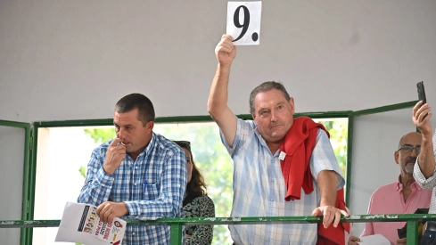 Subasta de ganado en la pasada Feria Internacional Ganadera de Zafra / CEDIDA Subasta de ganado en la pasada Feria Internacional Ganadera de Zafra / CEDIDA