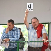 Subasta de ganado en la pasada Feria Internacional Ganadera de Zafra / CEDIDA Subasta de ganado en la pasada Feria Internacional Ganadera de Zafra / CEDIDA