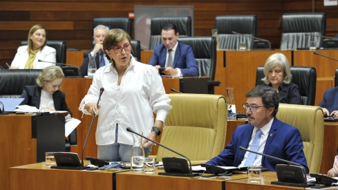 Mercedes Morán, consejera de Industria, Energía, Ciencia y Territorio. / LP Mercedes Morán, consejera de Industria, Energía, Ciencia y Territorio. / LP