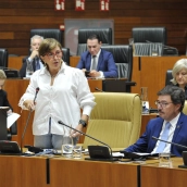 Mercedes Morán, consejera de Industria, Energía, Ciencia y Territorio. / LP Mercedes Morán, consejera de Industria, Energía, Ciencia y Territorio. / LP