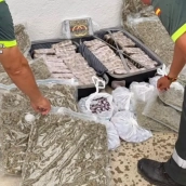 El pesaje de las sustancias intervenidas permitió contabilizar más de 20 kilogramos de hachís en tabletas y otros 6,3 kilos de la misma sustancia distribuidos en bellotas. / GC