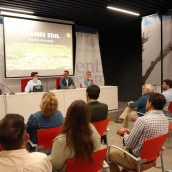 La Diputación de Badajoz ha presentado este martes el plan PAI de la Agrupación Urbana Funcional de Olivenza, una programación que prevé 15 intervenciones en diez municipios. / LP La Diputación de Badajoz ha presentado este martes el plan PAI de la Agrupación Urbana Funcional de Olivenza, una programación que prevé 15 intervenciones en diez municipios. / LP
