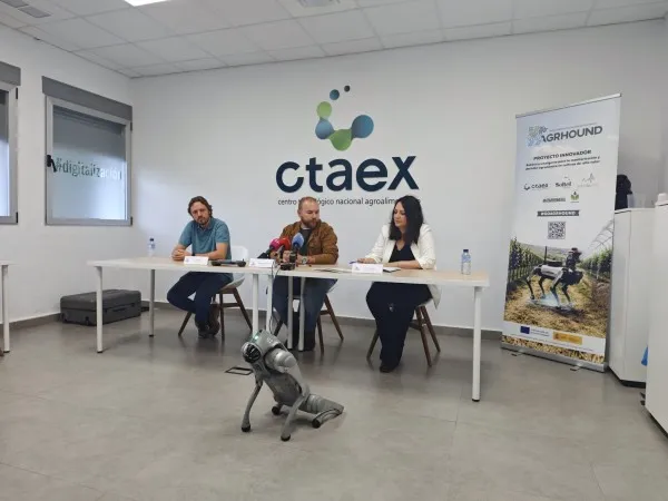 CTAEX CTAEX