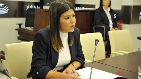 La directora gerente del SES, Encarnación Solís, este miércoles en la Asamblea. / LP La directora gerente del SES, Encarnación Solís, este miércoles en la Asamblea. / LP