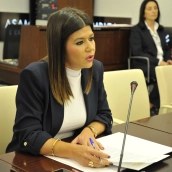 La directora gerente del SES, Encarnación Solís, este miércoles en la Asamblea. / LP La directora gerente del SES, Encarnación Solís, este miércoles en la Asamblea. / LP