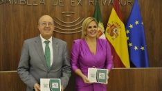 Elena Manzano ha entregado las cuentas públicas este viernes en la Asamblea de Extremadura. / LP 