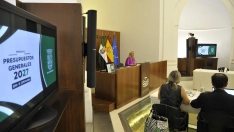 La consejera de Hacienda, Administración Pública y Diálogo Social, Elena Manzano. / LP 
