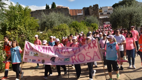 Casi 4.000 paseantes salieron a la calle para acompañar a las mujeres que luchan contra el cáncer de mama. / LP Casi 4.000 paseantes salieron a la calle para acompañar a las mujeres que luchan contra el cáncer de mama. / LP